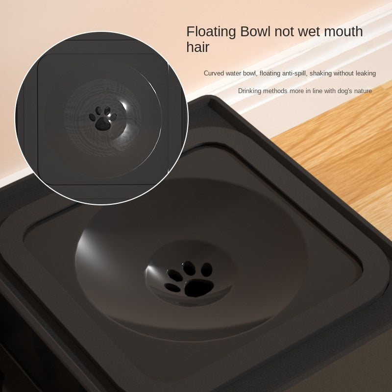 Elevate Your Pet's Dining Experience